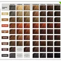 SANTE Pflanzenhaarfarbe Schokobraun 100g - Natürliche Bio-Henna Indigo Haarfarbe