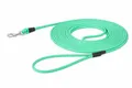 Hundeleine – Trainings- und Suchleine mit Handschlaufe – 10m x 6mm – Flamingo Caspar Mintgrün – Biothane – Karabiner verchromt