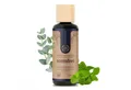 Liebenstein Sauna-Aufgussset BIO Saunaaufguss "Atemfrei" (1-tlg., mit 100% naturreinen Bio Ölen – regional) Eukalyptus, Latschenkiefer & Minze [1x100ml Sauna Aufgussmittel]