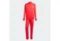 adidas Sportswear Trainingsanzug Dayready (1-tlg)