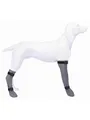 Trixie Protective Sock silicone M: 8 cm/35 cm grey