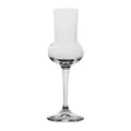 Set 6 Kelche Destillate Grappa RISERVA 8 Cl Glas - Bormioli Rocco - Amaro