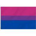 Bisexuelle Flagge, 90 x 150 cm, Regenbogenmotiv, UV-Schutz, Polyester, Pride-Tag