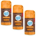Fresh & More Lufterfrischer Nachfüller (3er Pack) 250ml, Orange