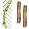 Relaxdays Rankgitter (1.50 cm, 60 cm) (4052025488215)