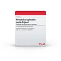 Medulla Spinalis suis Injeel Ampullen 10 St