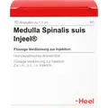 MEDULLA SPINALIS suis Injeel Ampullen 10 St PZN00664326