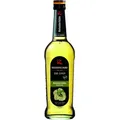 Riemerschmid Bar-Sirup Holunderblüten Geschmack 0,7L