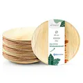 Wiseware Palmblatt Teller - Einwegteller rund - biologisch abbaubares Palmblattgeschirr - kompostierbares Partygeschirr - Bio Einweggeschirr (50, Ø 20 cm)