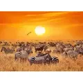 Papermoon Fototapete VLIES-Tapete Premium "Afrikanische Antilopen und Zebras", Kleister KOSTENLOS, reduziert, 3D-Effekt, restlos trocken abziehbar, (776), Wandtapete Bild Dekoration Wand-Dekor Motiv Tapete Poster 5 m x 2.8 m