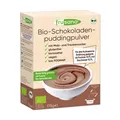 (30,80 EUR/kg) Frusano Bio Schokoladenpuddingpulver 175g