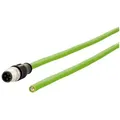 Metz Connect Metz Connect 142M1D10050 M12 Netzwerkkabel, Patchkabel CAT 5e SF/FTP 5 Netzkabel, (500.00 cm) grün