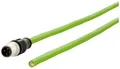 Metz Connect 142M1D10050 M12 Netzwerkkabel, Patchkabel CAT 5e SF/FTP 5.00m Grün PUR-Mantel, Säureb