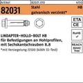 LINDAPTER Hohlraumdübel R 82031 m.6-kantschraube HB 10-3 ( 90/60) 8.8 galvanisch