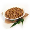 MEHLWÜRMER ZUM KOCHEN - Essbare Insekten von Snack-Insects zum Kochen & Essen