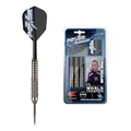 Target Darts Phil Taylor Power Silverlight Steel Tip Dartpfeile (22gr), silber 22g