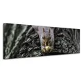 Leinwanddruck Tiere Eichhörnchen 120x40 cm