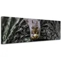 Leinwanddruck Tiere Eichhörnchen 120x40 Cm