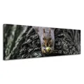 Leinwanddruck Tiere Eichhörnchen 120x40 cm