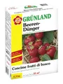 ASB Greenworld Gemüsedünger ASB Greenworld Spezial-Beerendünger 2,5 kg