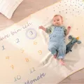 Biederlack Kuscheldecke Babydecke Lovely & Sweet Milestone 100 x 150 cm