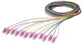 Phoenix Contact 1208104 Glasfaser LWL Anschlusskabel 2.50m