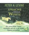 Sprache ohne Worte: Wie unser Körper Trauma verarbeitet und uns in die innere B