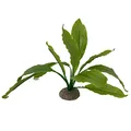 Aqua Della, Künstliche Pflanze, bunt, aus flexiblem Kunststoff, Echodorus, 2, 24 cm, Grün, robuster Standfuß, bietet Schuppen und Orte der Reproduktion, geeignet für Aquarien und Terrarien