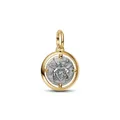 PANDORA Amor Medaillon-Charm 764088C01 Charm Anhänger