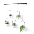 1018086-660 - TRIFLORA Großer Hängeblumentopf 5er Set, weiß
