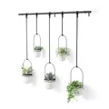 Umbra Triflora Hängeblumentopf für Fenster, Indoor-Kräutergarten, 5er-Set, Weiss/Schwarz