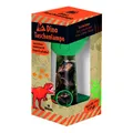 moses Kindertaschenlampen verschiedene Motive Dinosaurier