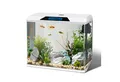 nobleza Aquarien-Set Aquarien-Set mit LED-Beleuchtung & Filtersystem 49.8*29*43.5CM