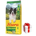 JOSERA Lachs & Kartoffel -Grain Free 12,5kg + Überraschung für den Hund