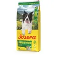 Josera Salmon & Potato 12,5 kg
