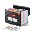 ThinkTex Accordian Akten,Organizer mit 12 Fächern,erweiterbarer Aktenordner,erweiterbare Abdeckung, tragbare Aktenbox,Desktop-Akkordeon-Ordner Kunststoff