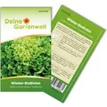Deine Gartenwelt Winterendivien Gialla A Cuore Samen
