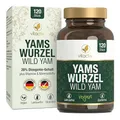 VITACTIV Yams Wurzel, Wild Yam - 120 Kapseln (2 Monatspack) - 880mg Yamswurzel-Extrakt pro Tagedosis, 20% bzw. 176mg Diosgenin - Für körpereigenen DHEA-Spiegel, bei Menopause (Wechseljahren)