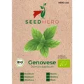 Seedhero BIO Basilikum Genovese Samen