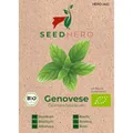 Seedhero BIO Basilikum Genovese Kräutersamen – ca. 100 Pflanzen – Saatgut für Garten, Balkon & Hochbeet