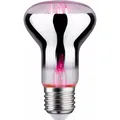 Paulmann Grow Green Pflanzenlampe R63 (LED, 6.50 V) (28732)
