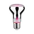 Paulmann 28732 LED Lampe Pflanzenlicht 6,5W Leuchtmittel Wachstumslicht Beleuchtung Licht 1300K E27
