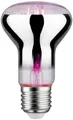 Paulmann LED-Pflanzenlampe Wachstum 230V E27 6.5W Bernstein 1St.