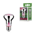 Grow Green Edition Filament 230V LED Reflektor E27 R63 R63 200lm 6,5W 1300K Silb