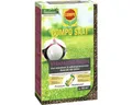 Strapazier-Rasen COMPO SAAT® 1 kg 50 m²