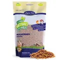 Lyra Pet® | 5 kg Mehlwürmer getrocknet | Proteinreiches Vogelfutter | Für Wildvögel, Nager, Reptilien & Fische | Nahrhaftes Futter | Energiespender für Insektenfresser | Vitamine & Mineralstoffe