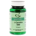 L-Carnitin 500 Kapseln 51.1 g