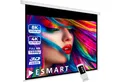 ESMART ESMART Germany Motor Leinwand Motorleinwand (Professional MIMOTO)