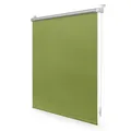Lichtblick Rollo, Thermo, Klemmfix, 75x150 cm, grün - gruen