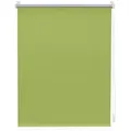 Rollo Thermo-Rollo Klemmfix, ohne Bohren, Verdunkelung, Roomy, Klemmbar, Anschraubbar, Klemmbar, Anschraubbar grün 75 cm x 150 cm